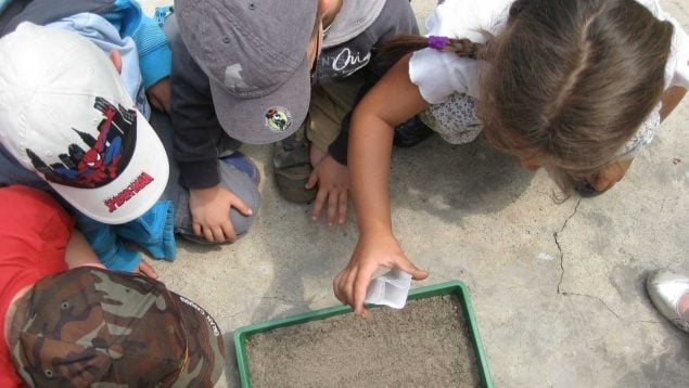 centro Ateca educadores