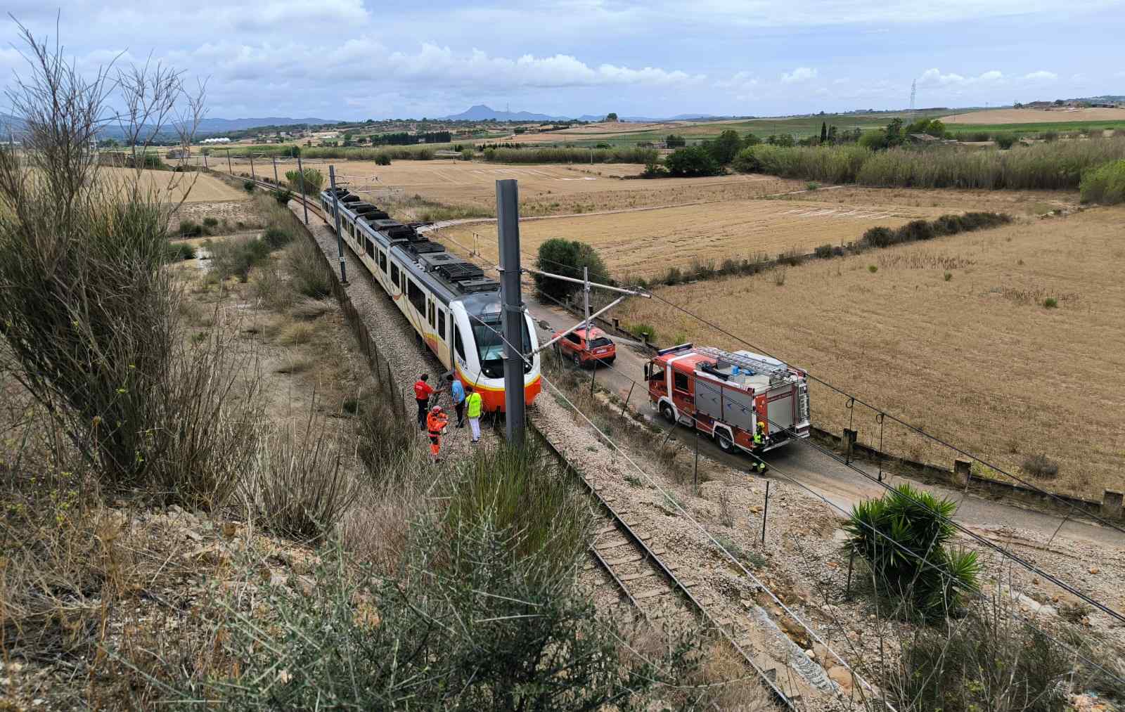 El tren parado en el tramo entre Petra y Manacor.