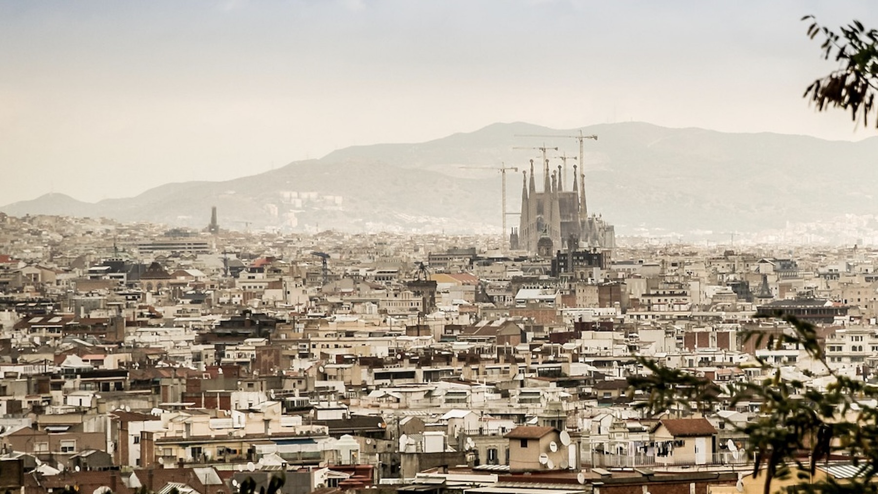 Vive una experiencia integral en Barcelona con cócteles sofisticados y ambientes vibrantes.