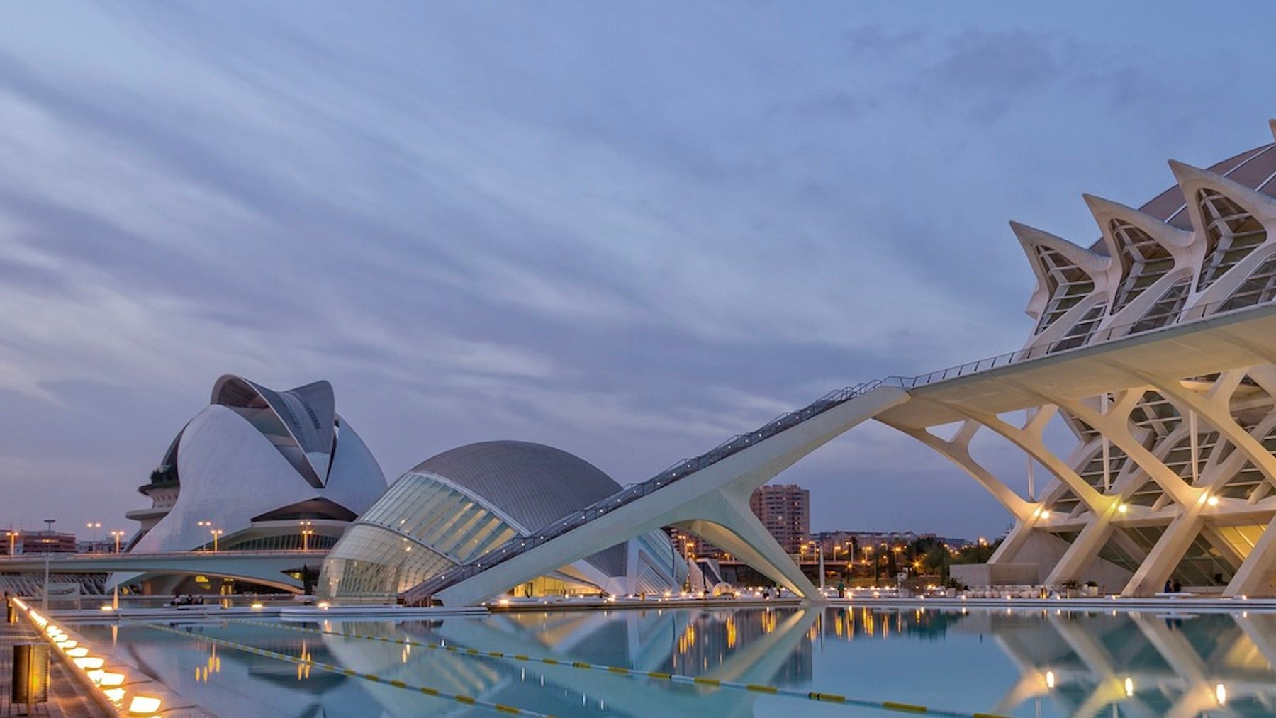 Disfruta de vistas espectaculares en Valencia acompañadas de cócteles exquisitos.