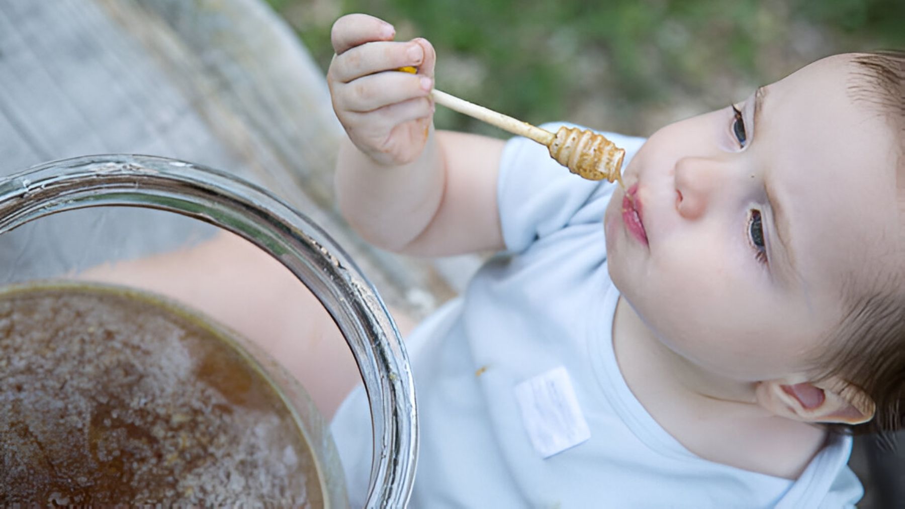 Niño pequeño probando miel.