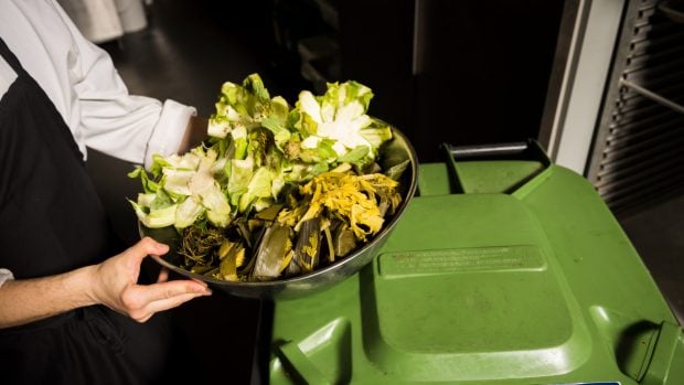 Comida a la basura