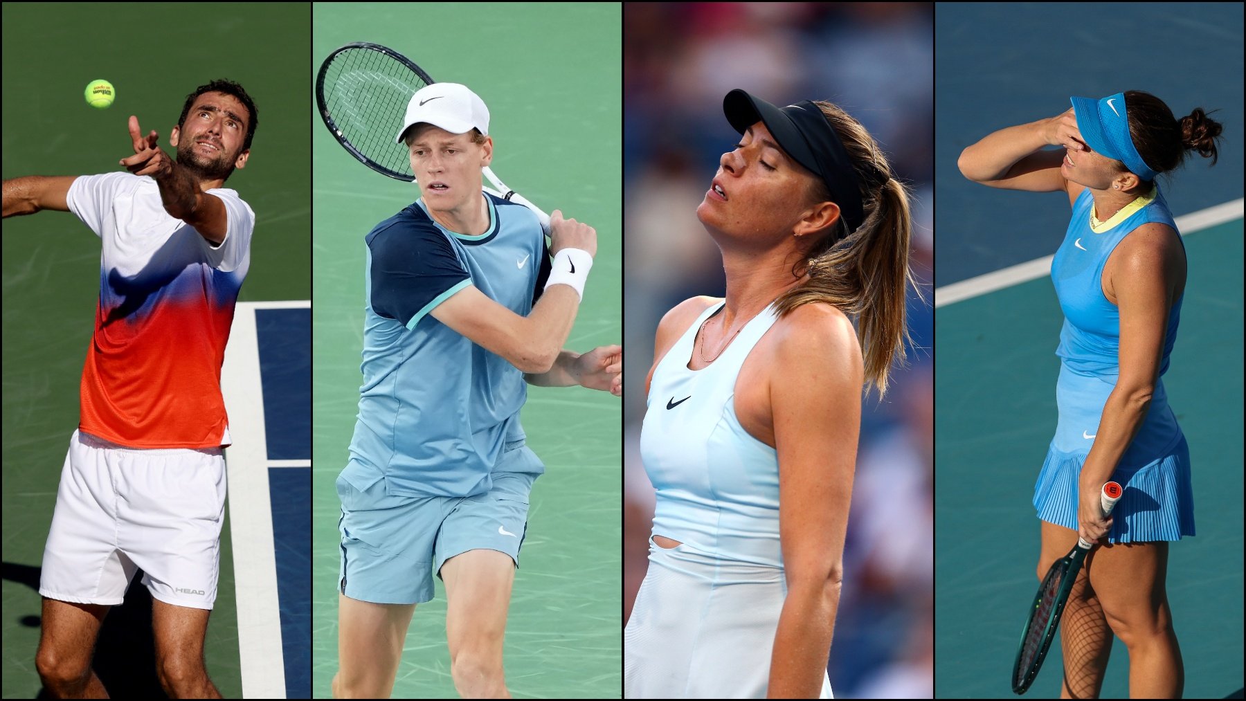 Marin Cilic, Jannik Sinner, Maria Sharapova y Simona Halep. (Getty)