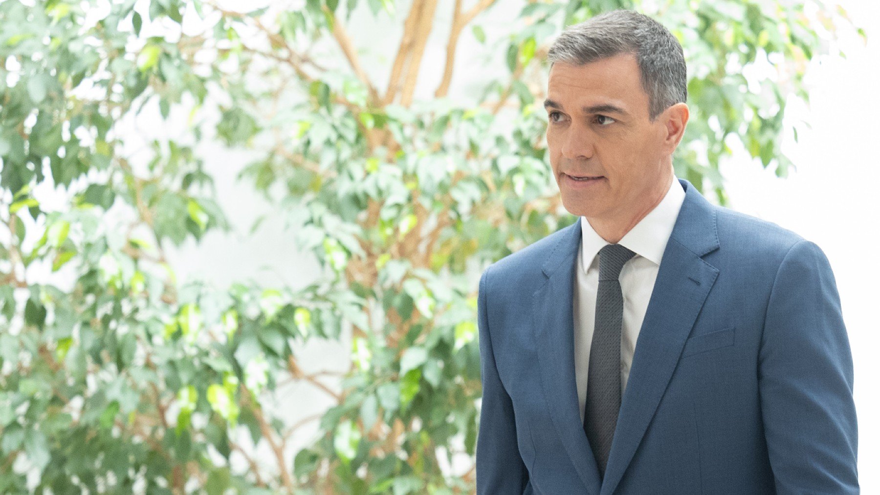 Pedro Sánchez.