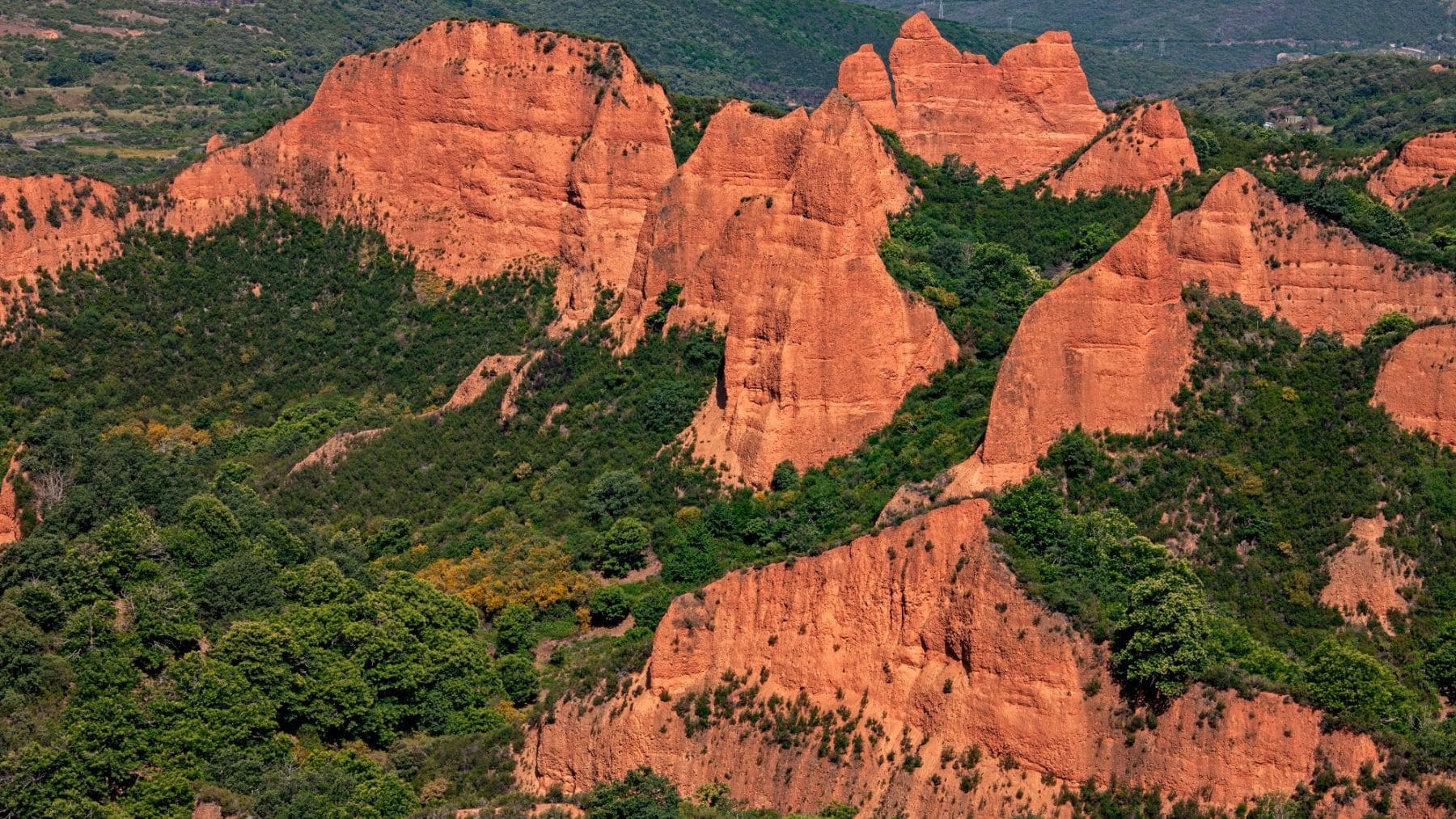 Éste es uno de los senderos más bonitos de Castilla y León. Foto: Turismo Castilla y León