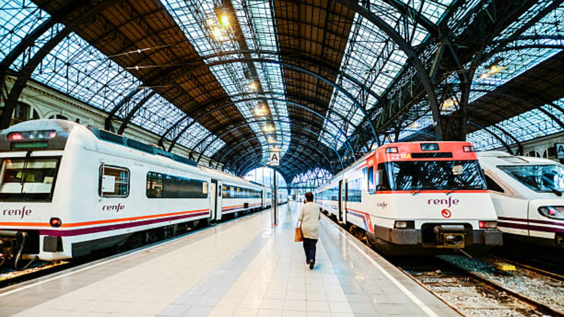 Trenes de Renfe en la estación de Francia de Barcelona.