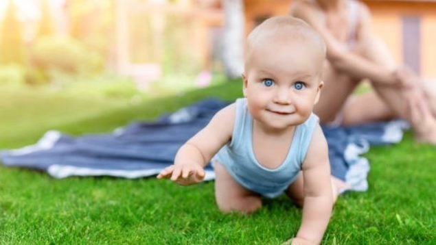 Una foto de un bebé que está gateando en un jardín.