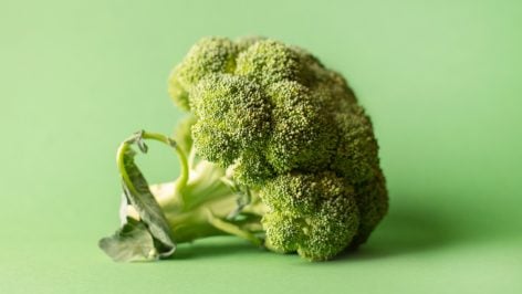 close-up on a colored green raw cabbage on a green background