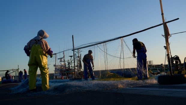 Pescadores en Fukushima