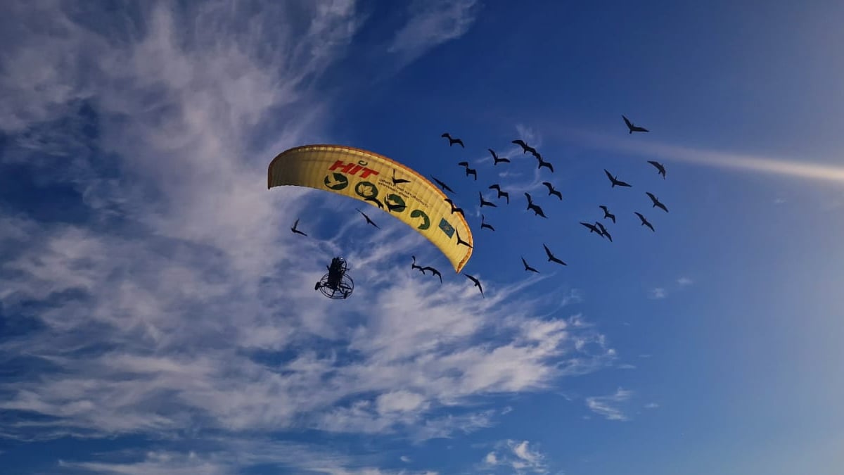 El ultraligero guiando a las aves durante la migración de los ibis eremitas (Foto: Ayuntamiento de Jerez de la Frontera)