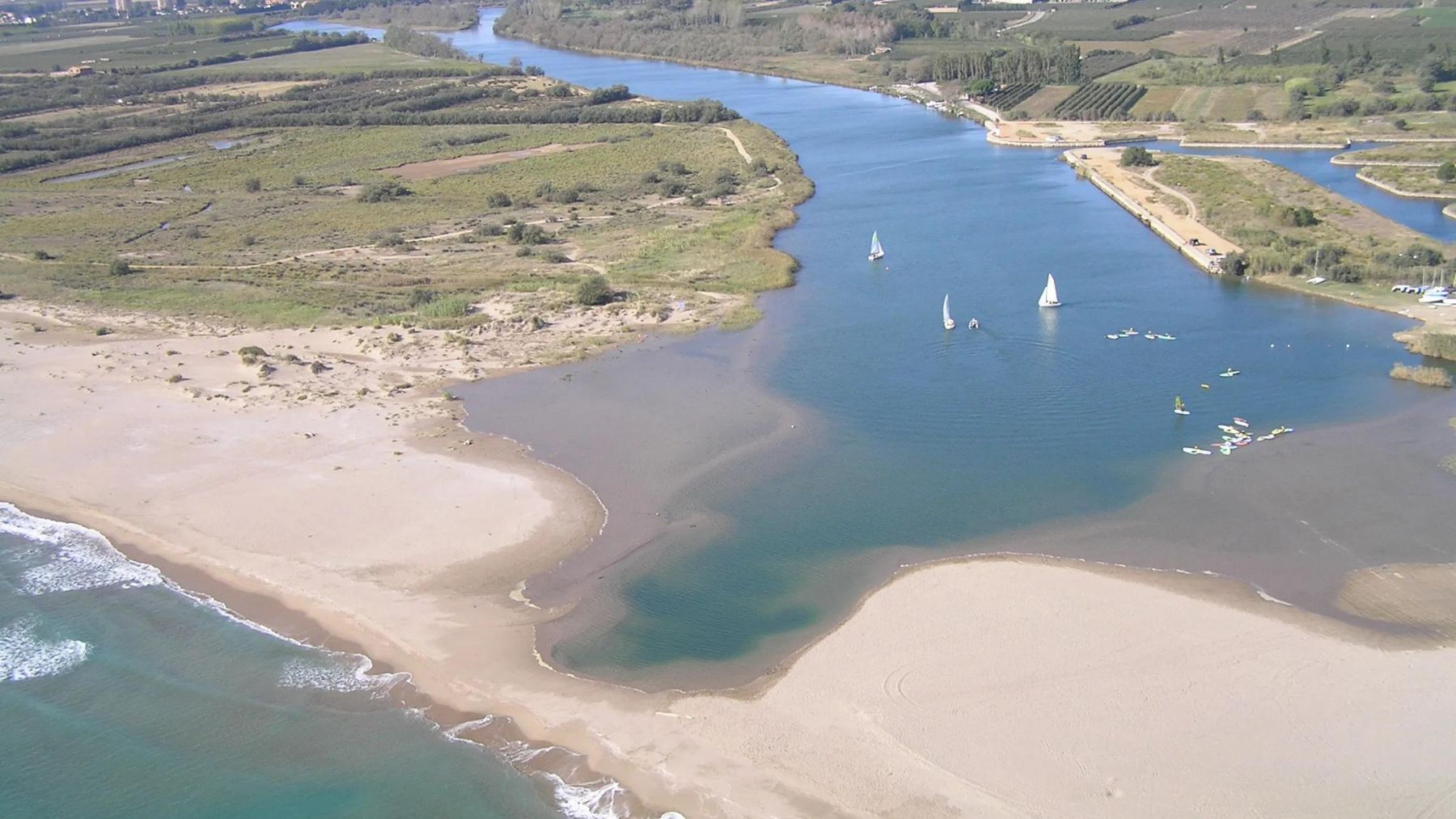 Ecosistema fluvial