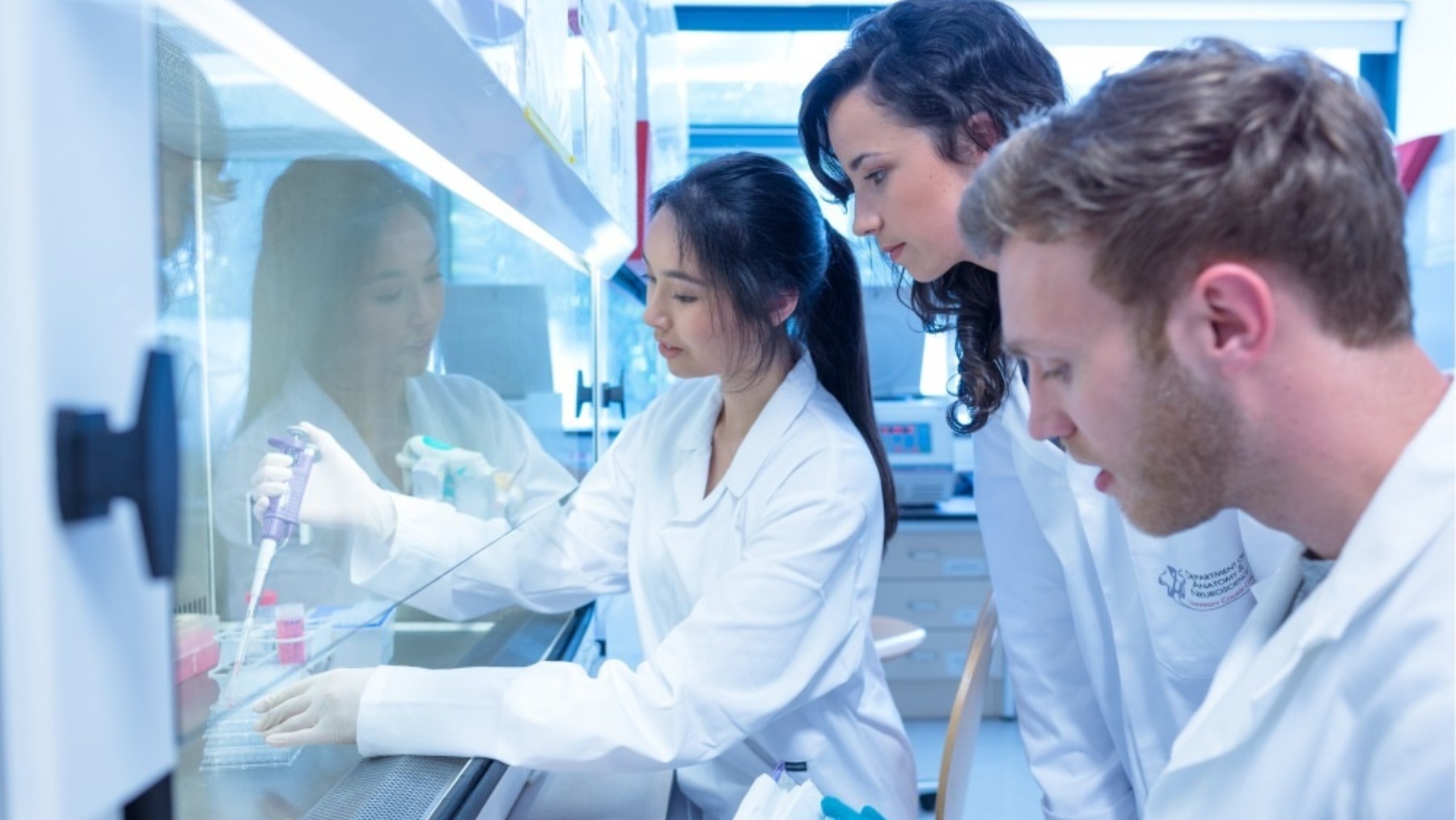 Unas personas trabajan en un laboratorio. (EP)