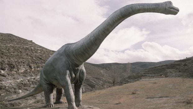 Dinosaurio