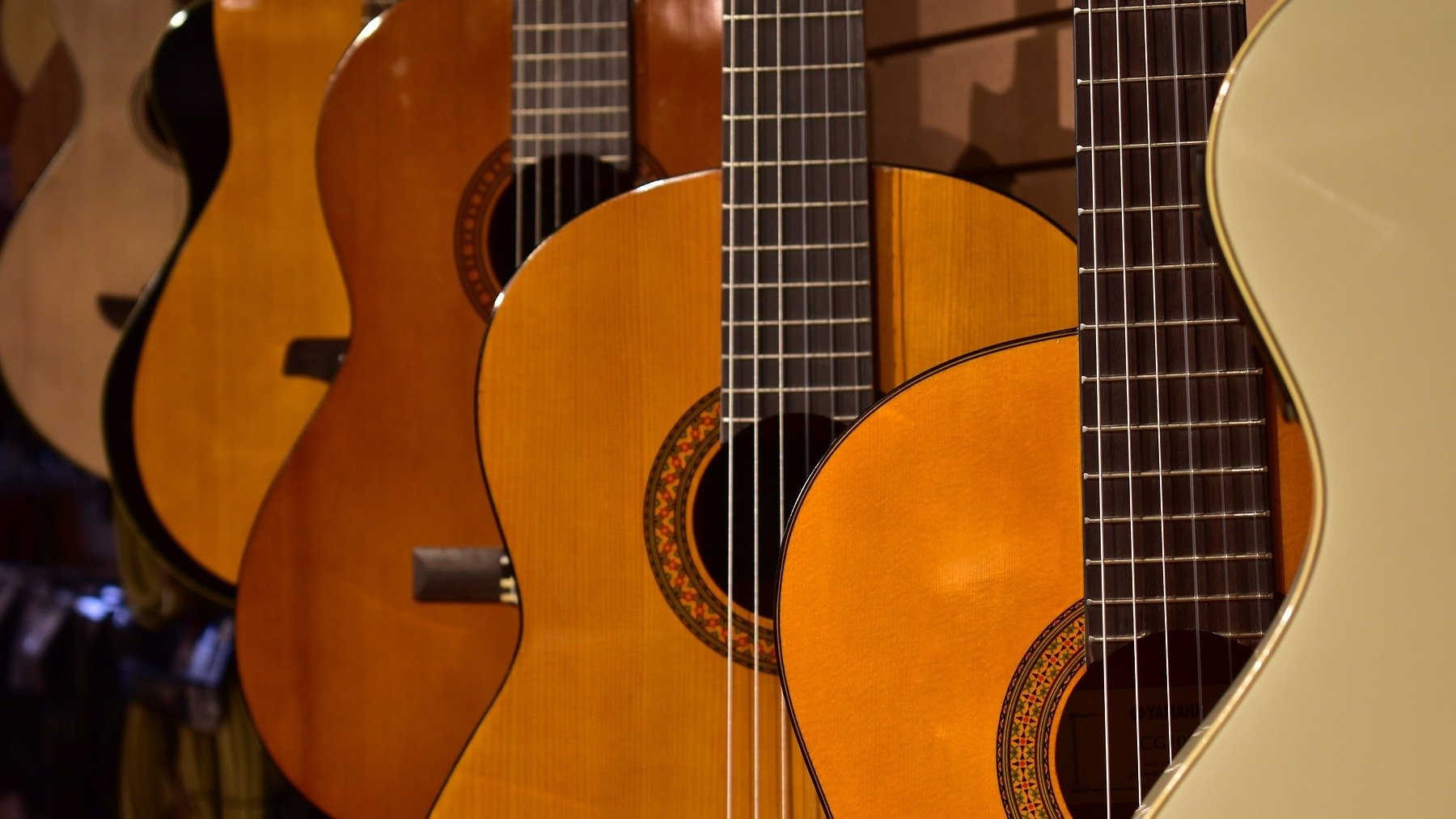 Conjunto de guitarras acústicas.