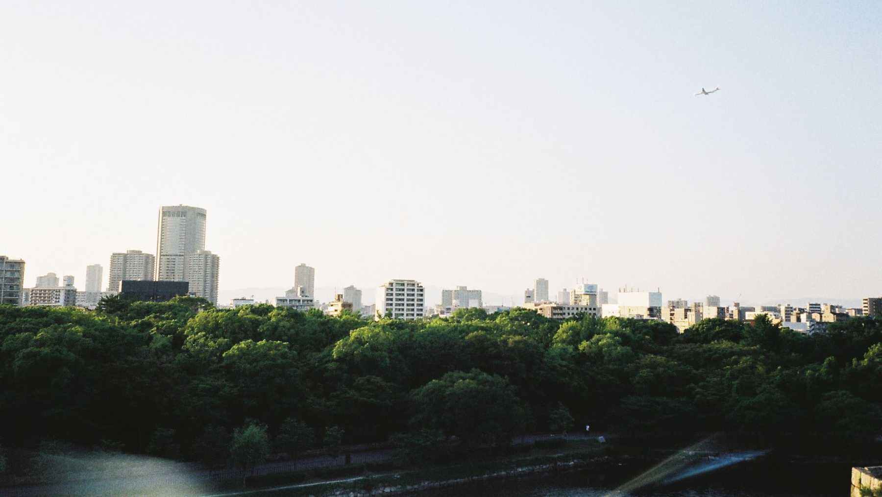 Impacto positivo de los bosques urbanos.