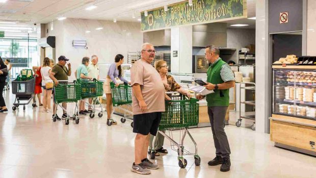 mercadona son valentí