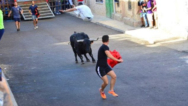 Zaragoza festejos taurinos calles