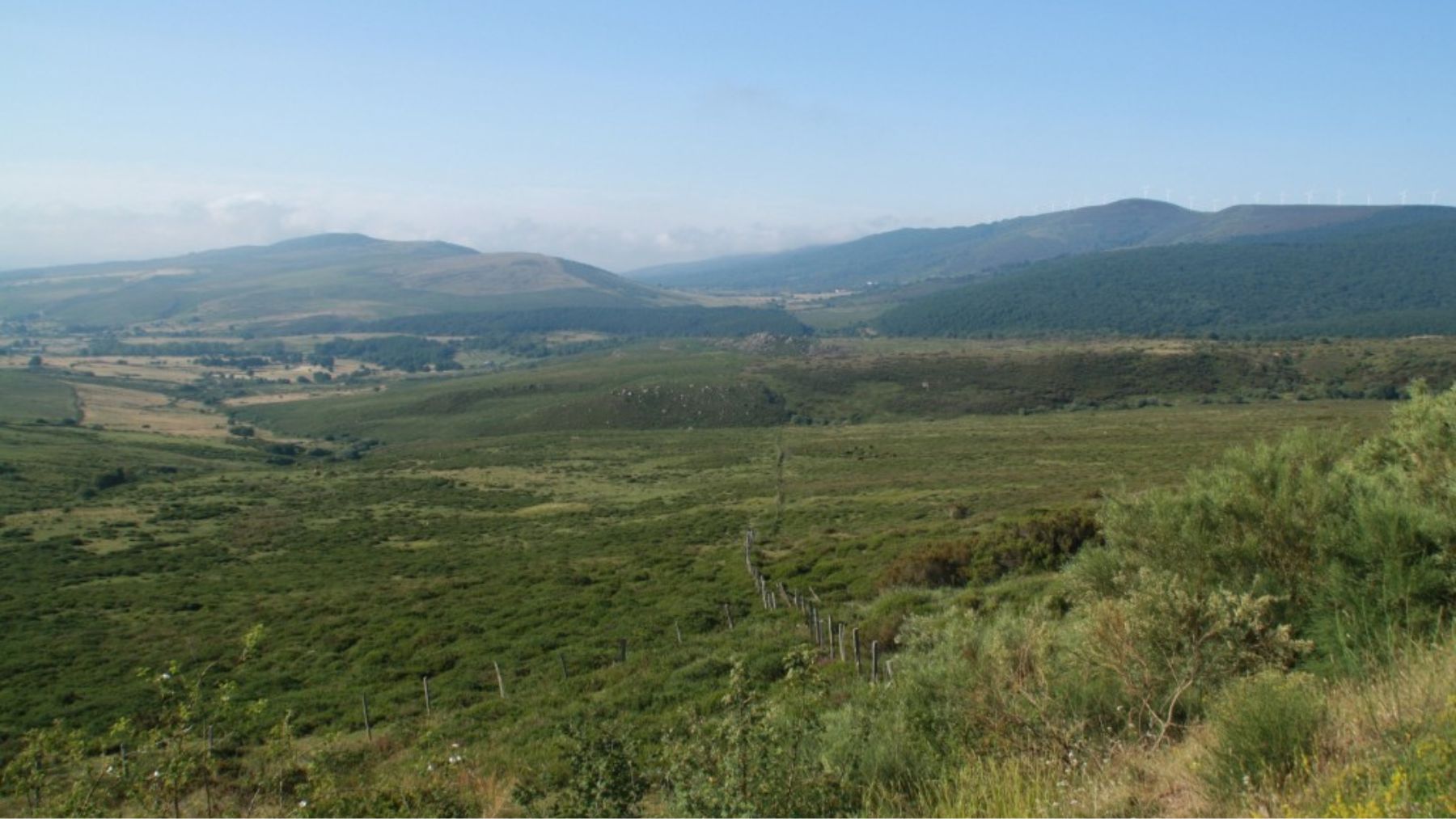 Sendero Histórico GR 1 en su paso por Palencia. Foto: Senderismo Castilla y León