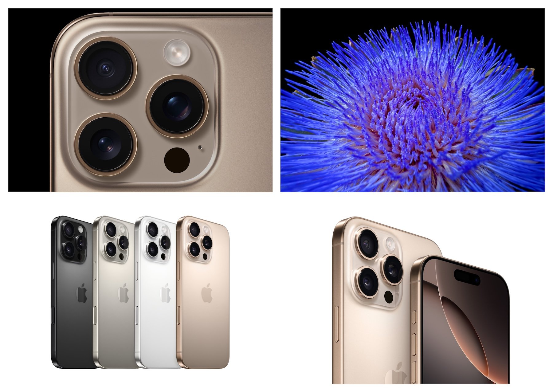 iPhone 16 Pro