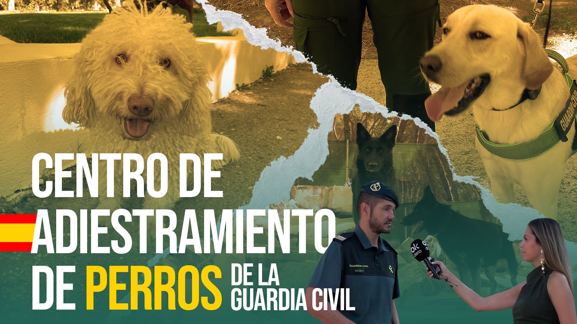 Centro de Adiestramiento canino de la Guardia Civil.