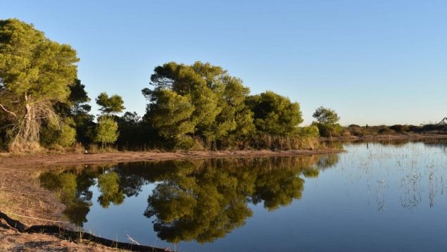 Itinerarios, Valencia, Albufera