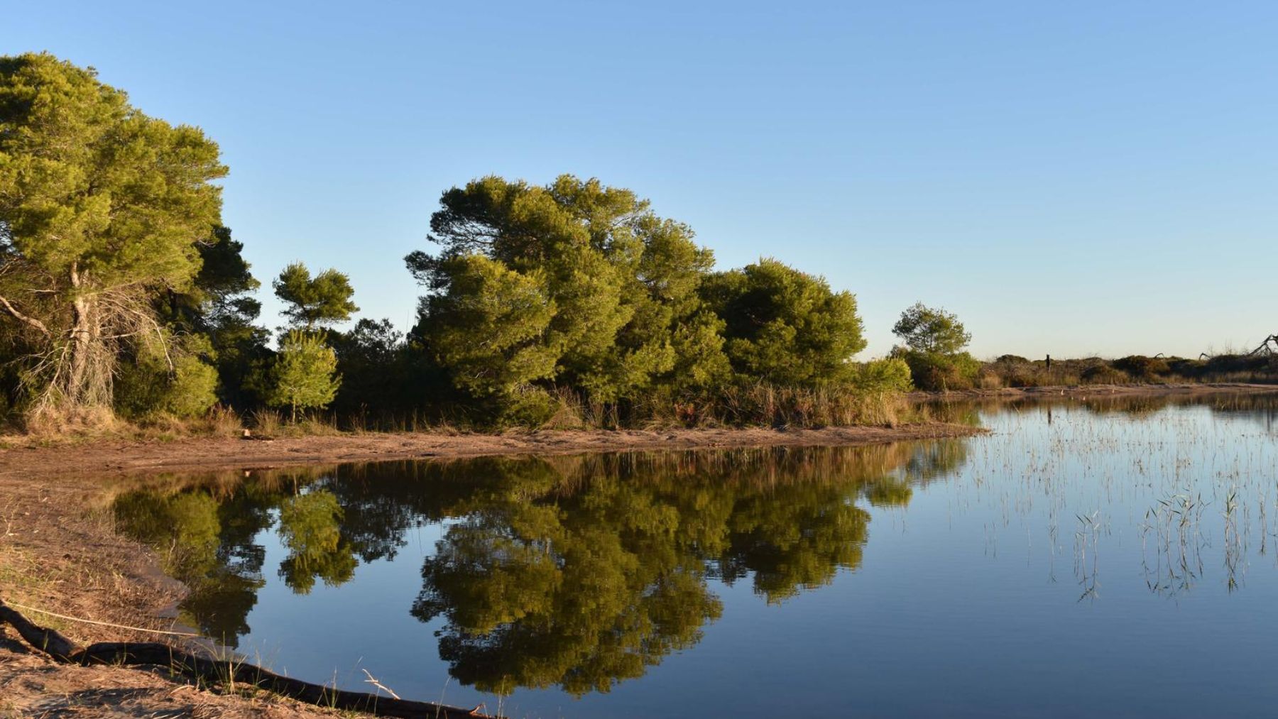 Albufera de Valencia. Foto: Wikiloc