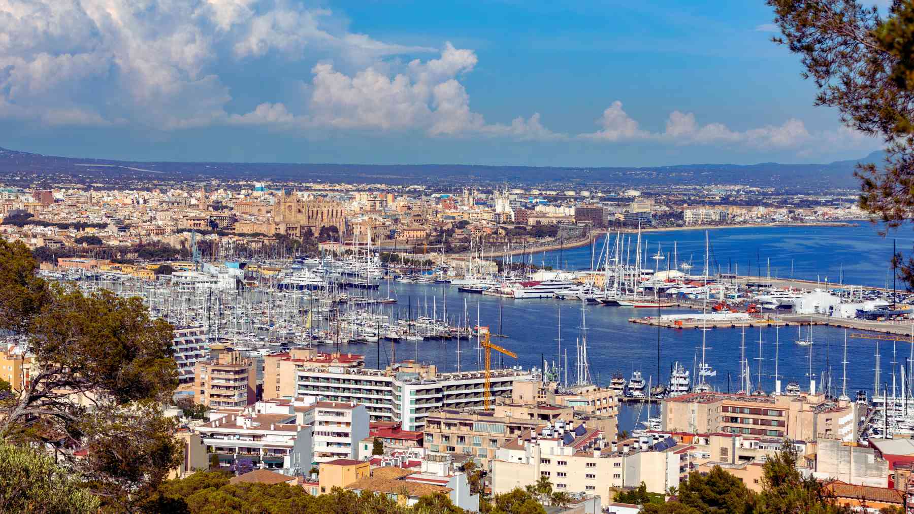 Palma de Mallorca.