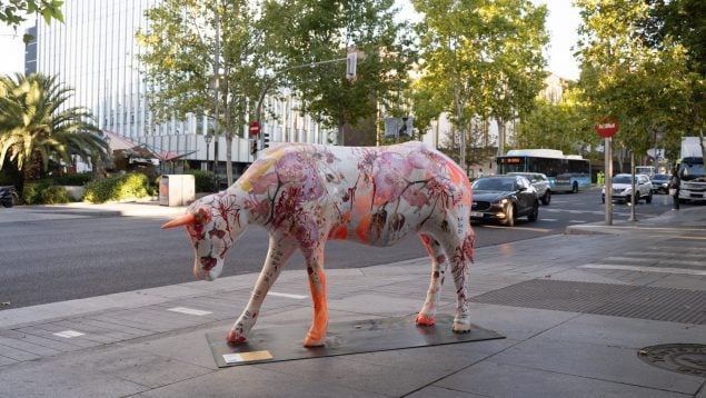 Madrid Cow Gallery