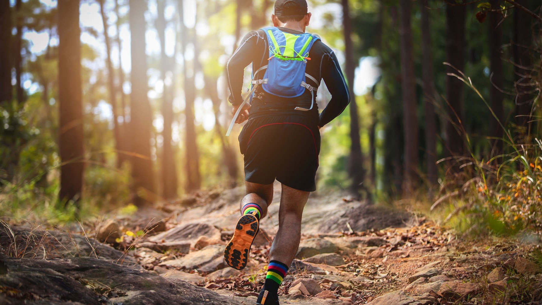 Trail