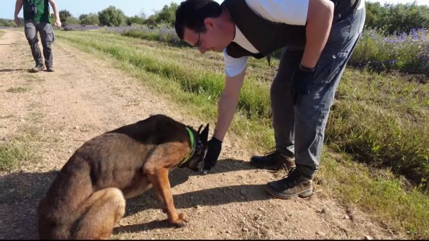 unidad canina lince