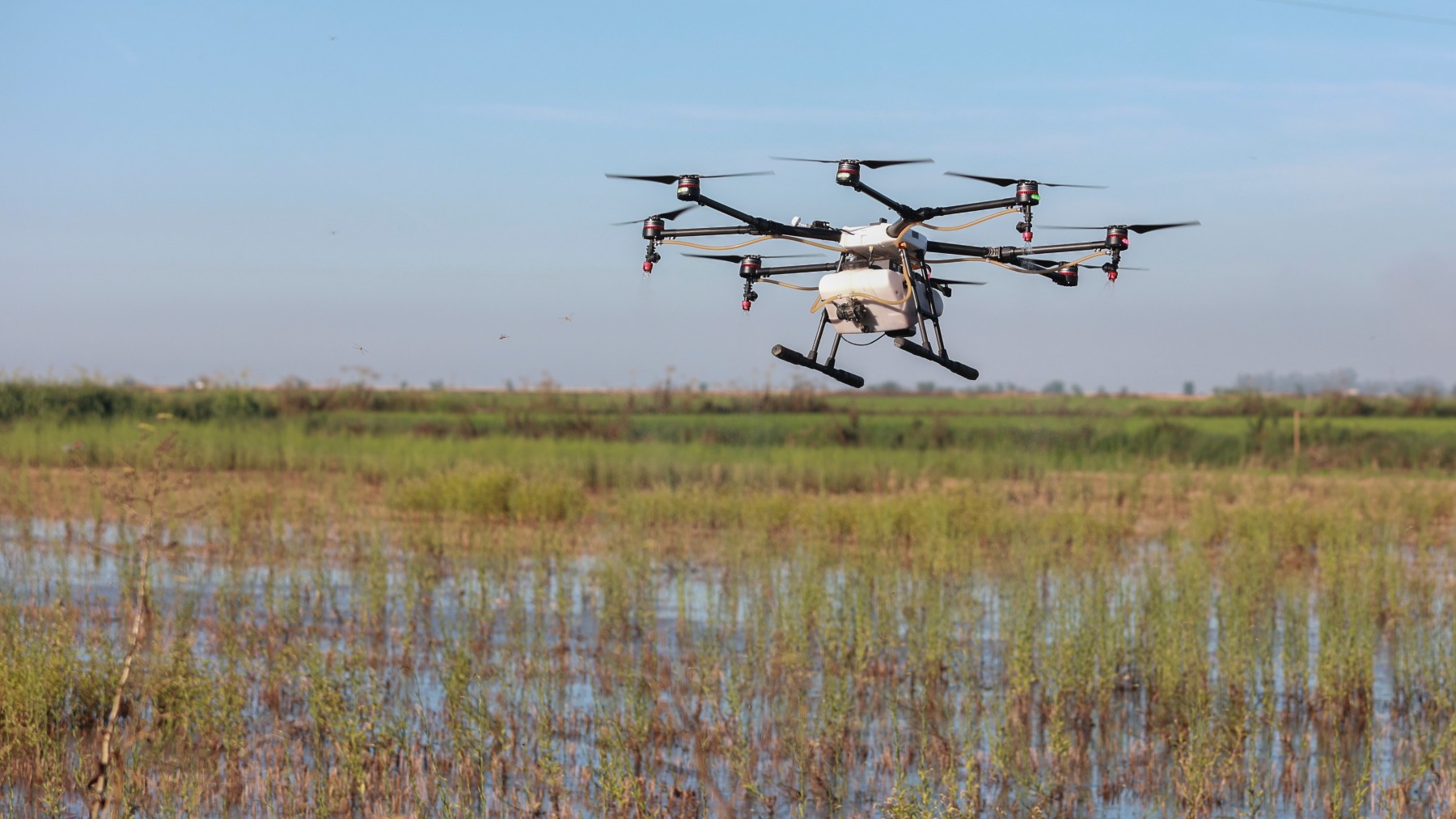 Un dron interviene en la campaña para el tratamiento contra los mosquitos que propagan el Virus del Nilo.