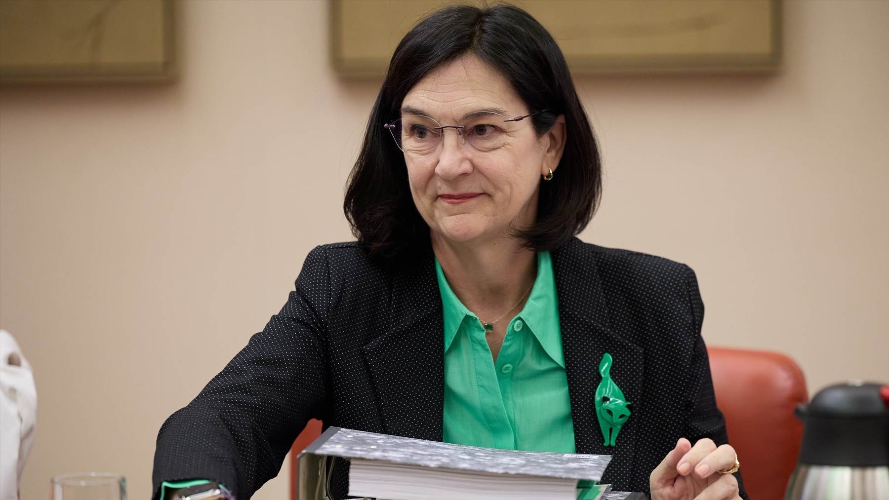 La presidenta de la CNMC, Cani Fernández.