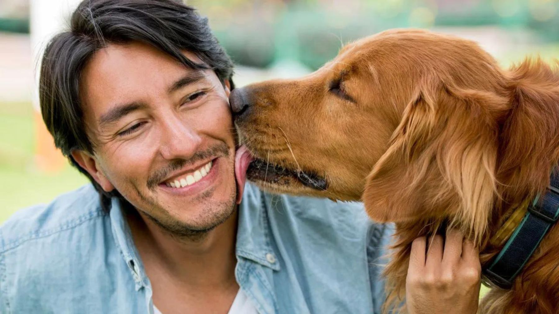 Perro lamiendo a su dueño. Foto: Getty Images