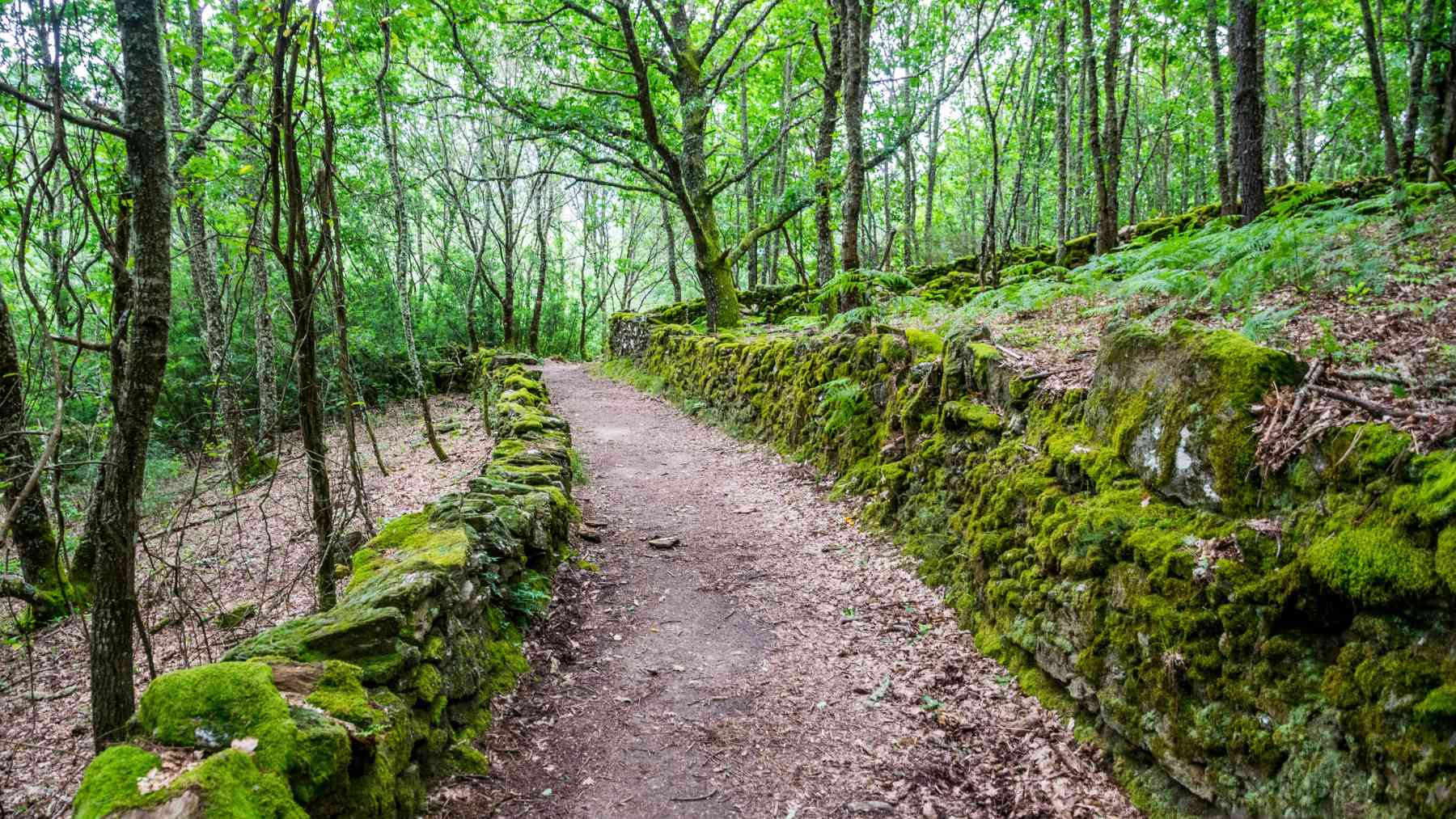 Galicia.