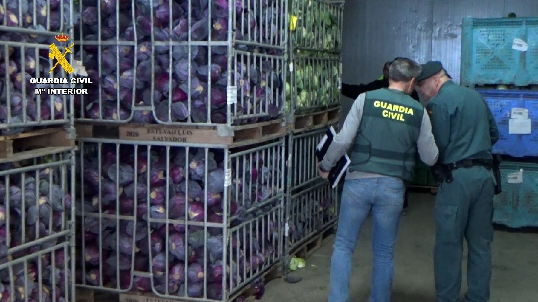 Cae una red en Motril por vender dos millones de kilos de frutas y verduras como productos ecológicos (Foto Europa Press / Guardia Civil)