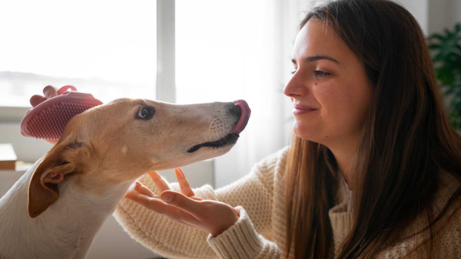 Perro mirando a su dueña fijamente. Foto: Freepik