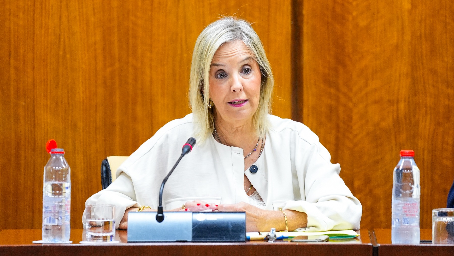 La fiscal superior de Andalucía, Ana Tárrago, en la comisión de Justicia del Parlamento andaluz. (Foto: EP)