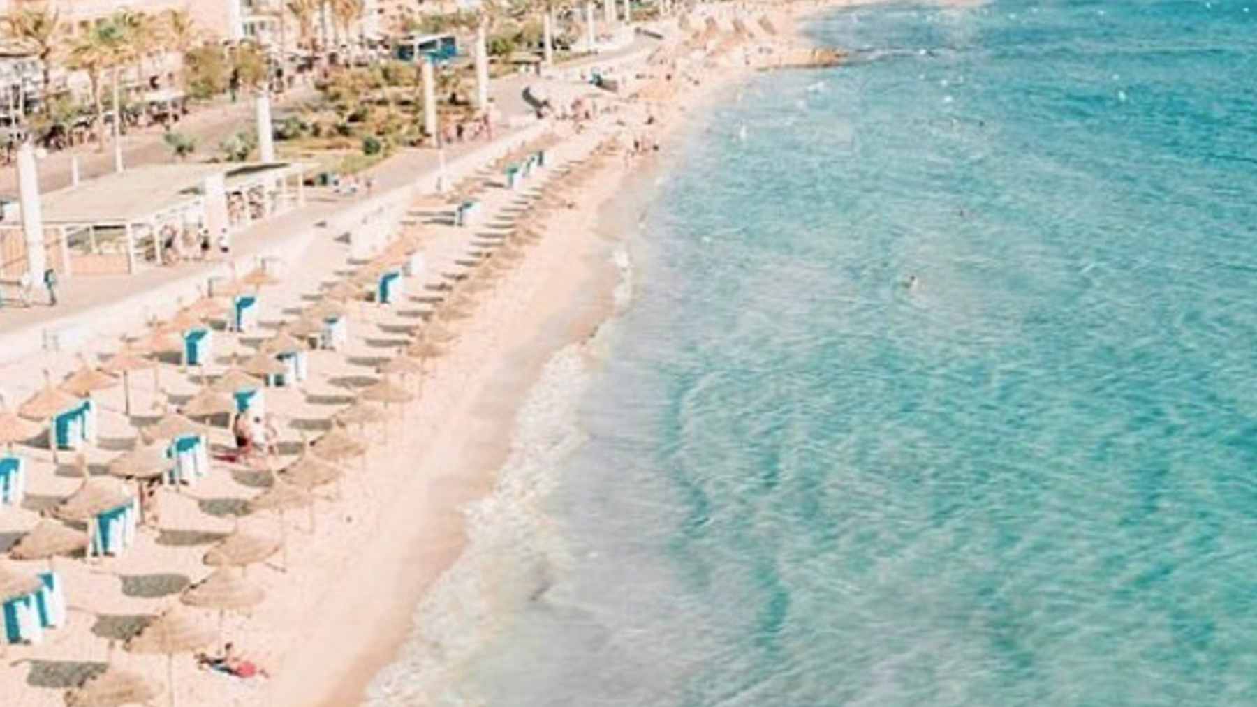 Tumbonas y hamacas en primera línea de Playa de Palma.