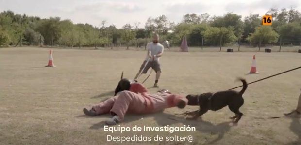 Equipo de investigación se cuela en una despedida de soltero salvame con ataques de perros (Atresmedia).