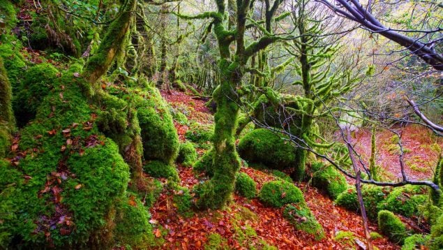 Destino perfecto en otoño