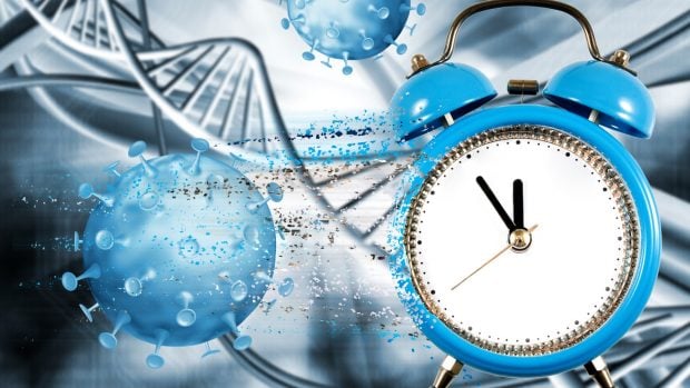 envejecimiento reloj de epigen&eacute;tica