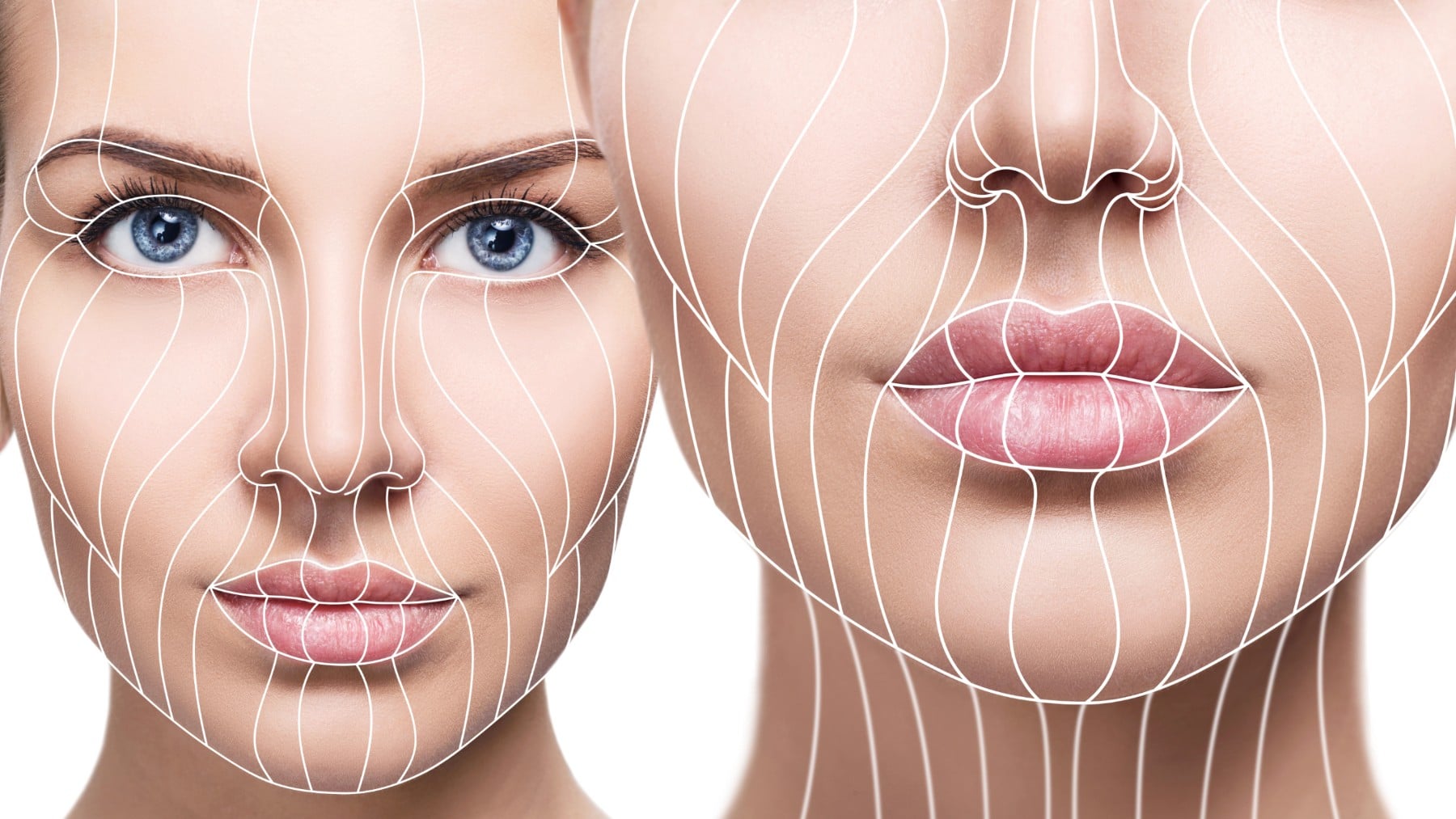 Científicos revelan cuál es el marisco que retrasa el envejecimiento