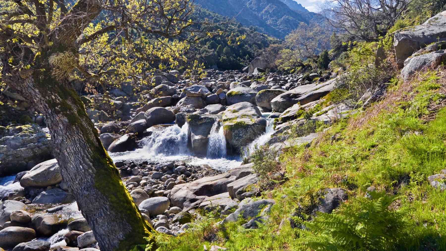 Sierra de Gredos.