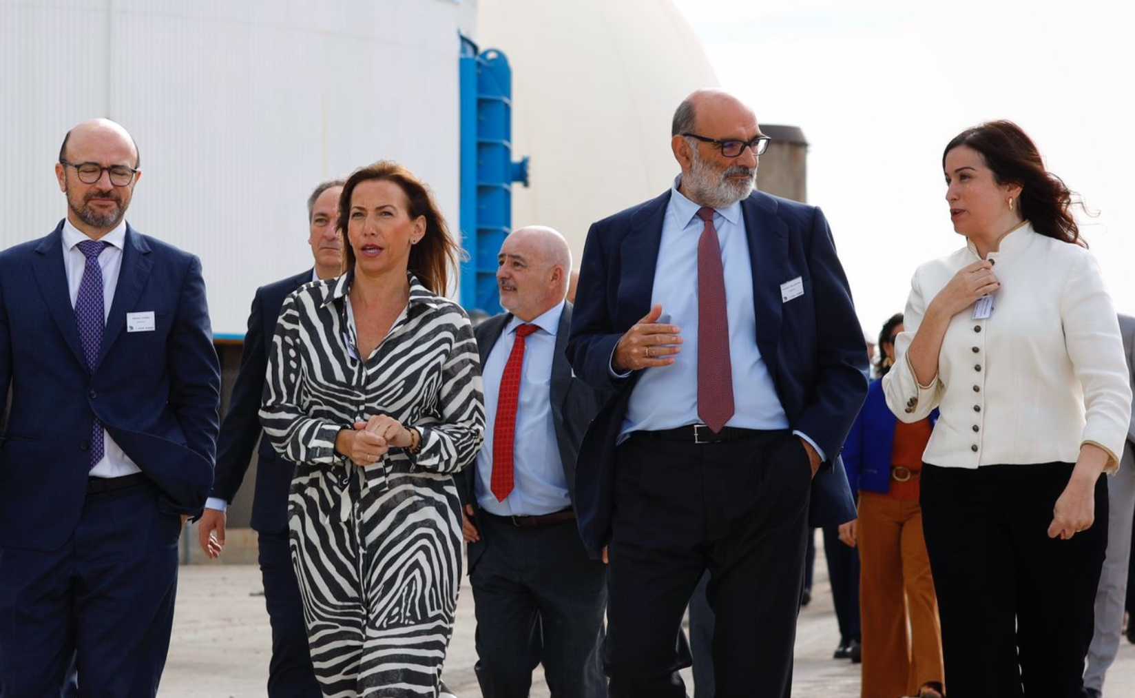 Fernando Abril-Matorell, Natalia Chueca, Nicoló Giacomuzzi y Tatiana Gaudes.