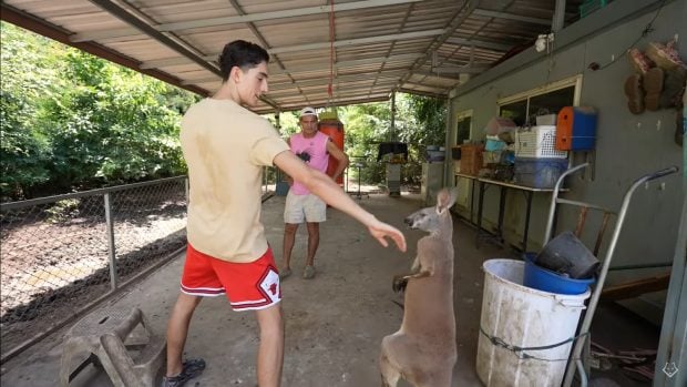 Plex ha vuelto a encontrarse con los animales del Santuario Libertad de Frank Cuesta (YouTube).