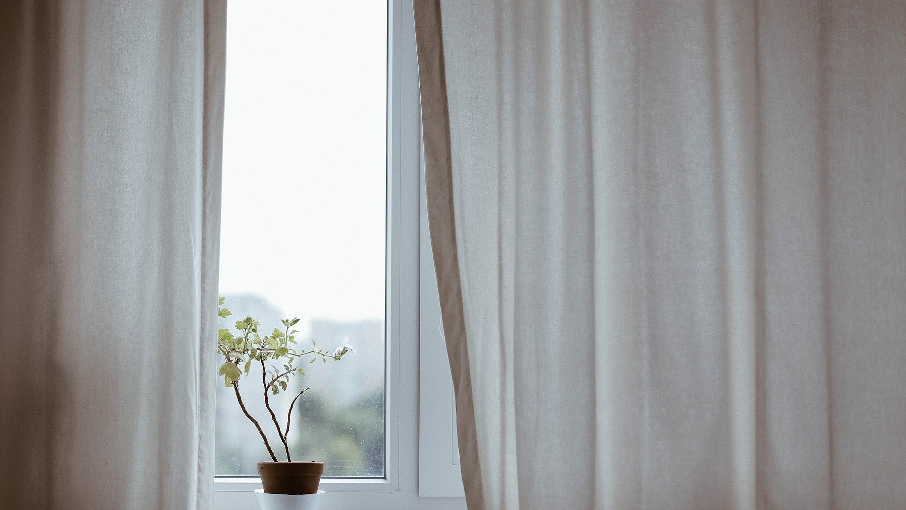 Ventanas con cortinas blancas.