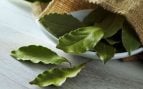 Todo el mundo está mezclando bicarbonato y hojas de laurel: ahora lo vas a usar siempre después de saber esto