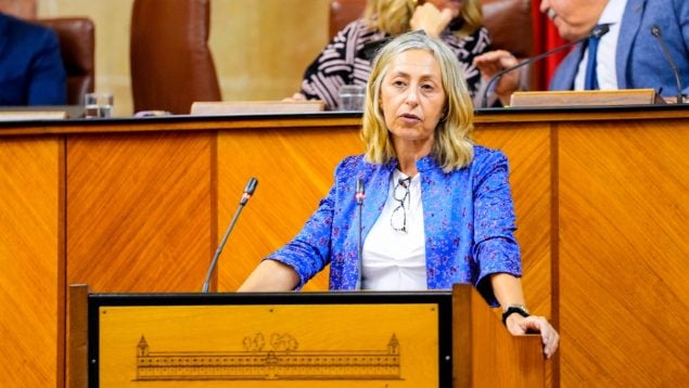 Rocío Hernández, consejera de Salud en Andalucía.