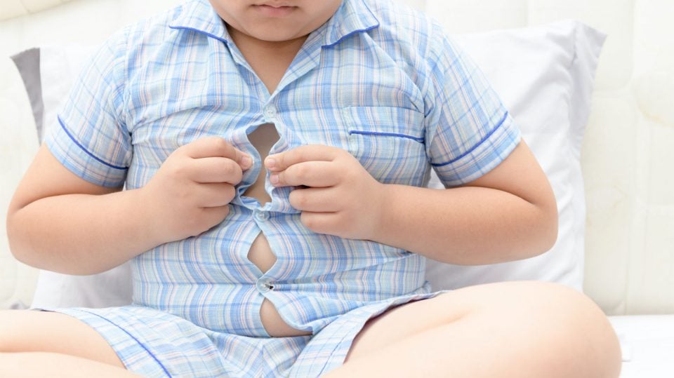 ¿Qué factores impiden que funcione un programa contra la obesidad infantil?