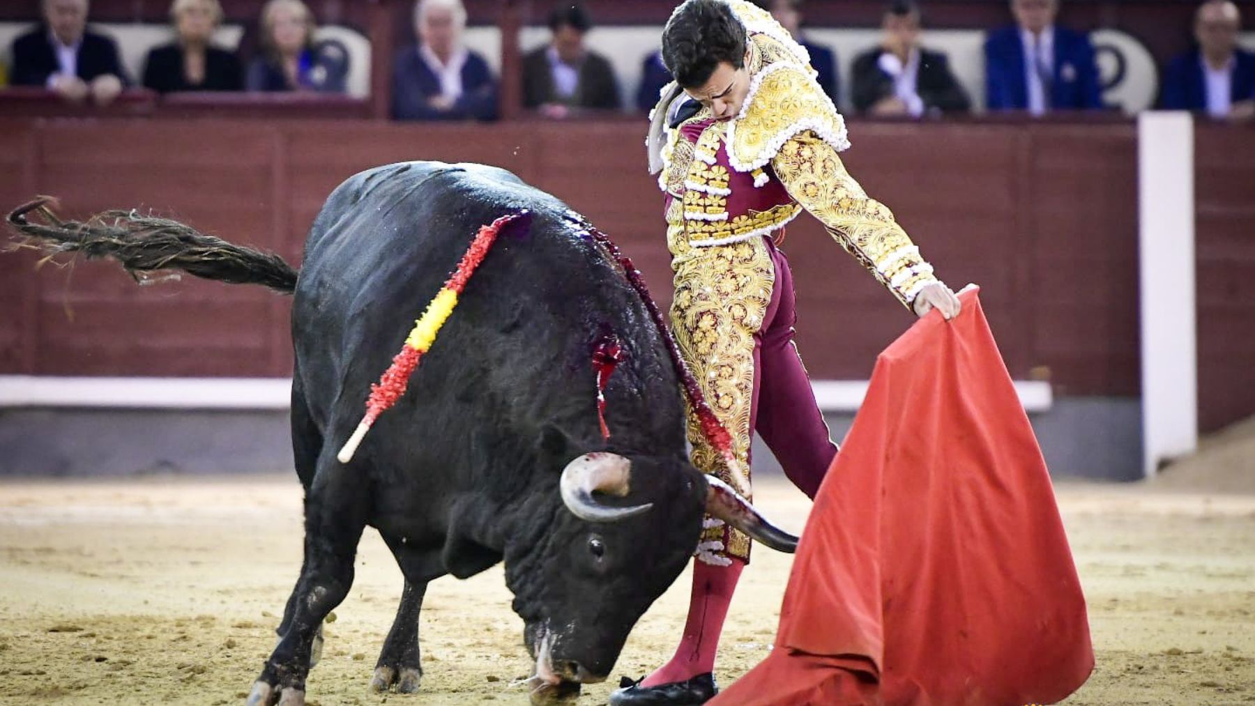 Tomás Rufo, en un lance. (Plaza 1)